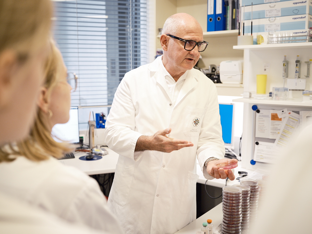 Medizinstudierende bei Famulaturen im Vinzenz Pathologieverbund